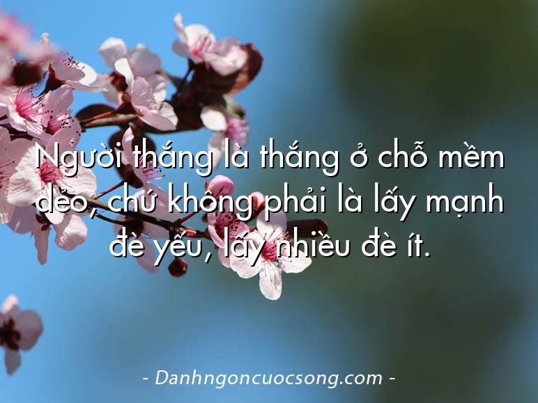 Người thắng là thắng ở chỗ mềm dẻo, chứ không phải là lấy mạnh đè yếu, lấy nhiều đè ít.