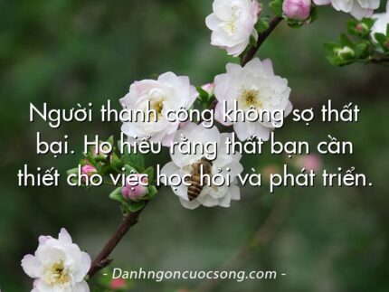 Người thành công không sợ thất bại. Họ hiểu rằng thất bạn cần thiết cho việc học hỏi và phát triển.