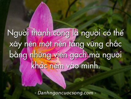 Người thành công là người có thể xây nên một nền tảng vững chắc bằng những viên gạch mà người khác ném vào mình.
