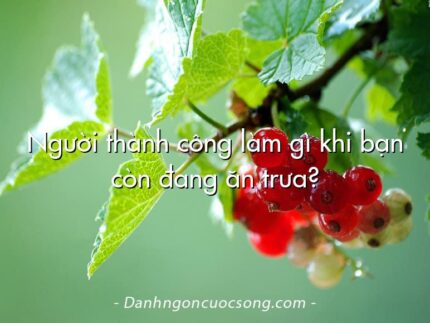 Người thành công làm gì khi bạn còn đang ăn trưa?