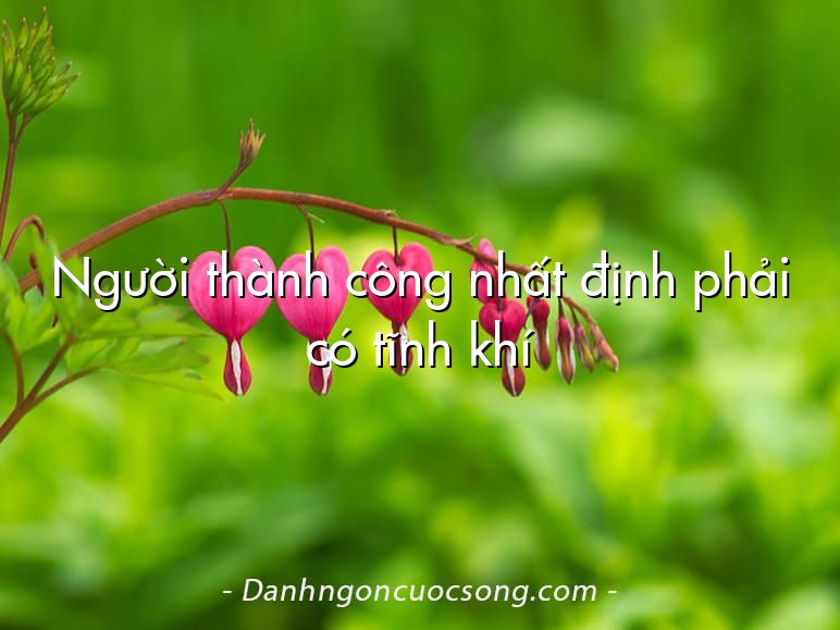 Người thành công nhất định phải có tĩnh khí