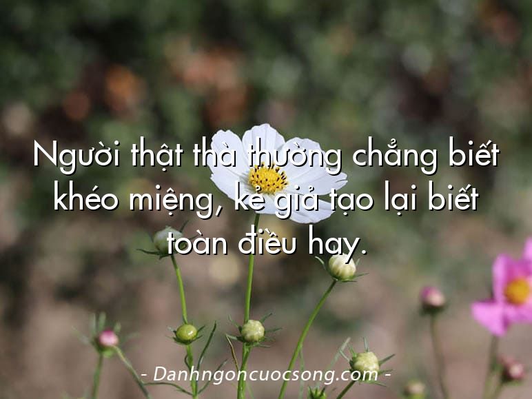 Người thật thà thường chẳng biết khéo miệng, kẻ giả tạo lại biết toàn điều hay.