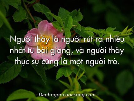 Người thầy là người rút ra nhiều nhất từ bài giảng, và người thầy thực sự cũng là một người trò.