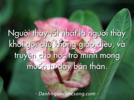 Người thầy tốt nhất là người thầy khơi gợi chứ không giáo điều, và truyền cho học trò mình mong muốn tự dạy bản thân.