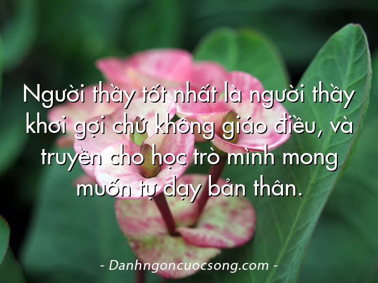 Người thầy tốt nhất là người thầy khơi gợi chứ không giáo điều, và truyền cho học trò mình mong muốn tự dạy bản thân.