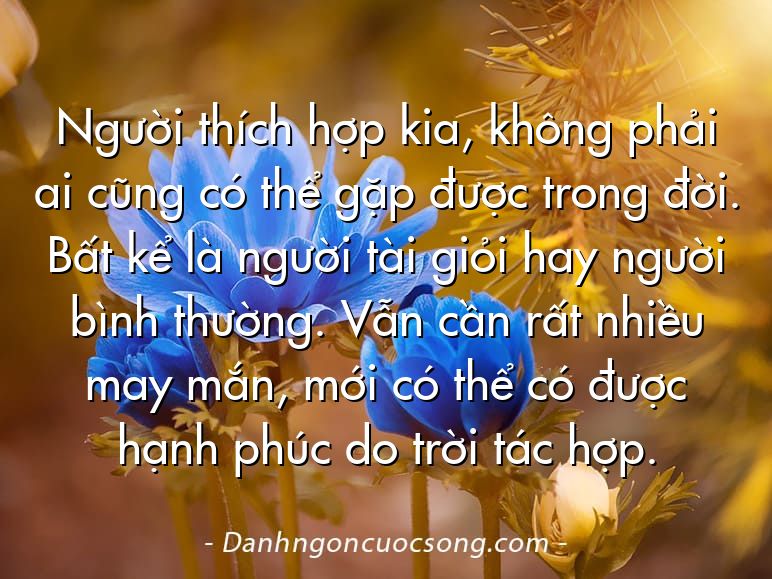 Người thích hợp kia, không phải ai cũng có thể gặp được trong đời. Bất kể là người tài giỏi hay người bình thường. Vẫn cần rất nhiều may mắn, mới có thể có được hạnh phúc do trời tác hợp.