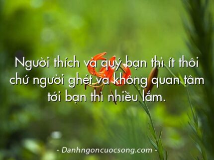 Người thích và quý bạn thì ít thôi chứ người ghét và không quan tâm tới bạn thì nhiều lắm.
