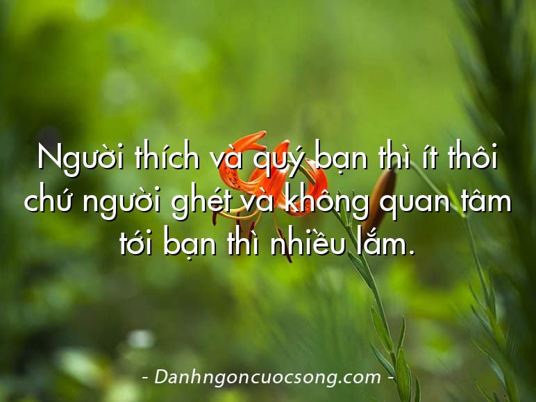 Người thích và quý bạn thì ít thôi chứ người ghét và không quan tâm tới bạn thì nhiều lắm.