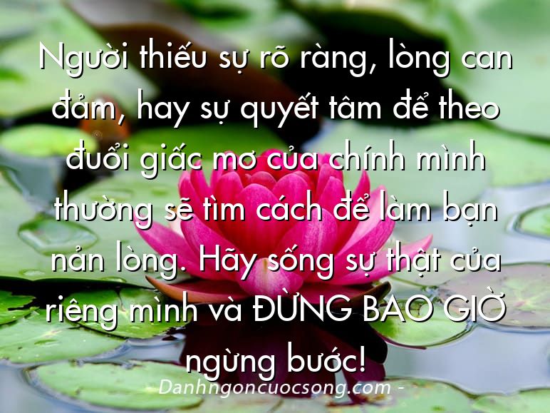 Người thiếu sự rõ ràng, lòng can đảm, hay sự quyết tâm để theo đuổi giấc mơ của chính mình thường sẽ tìm cách để làm bạn nản lòng. Hãy sống sự thật của riêng mình và ĐỪNG BAO GIỜ ngừng bước!