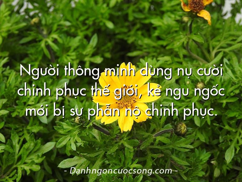 Người thông minh dùng nụ cười chinh phục thế giới, kẻ ngu ngốc mới bị sự phẫn nộ chinh phục.
