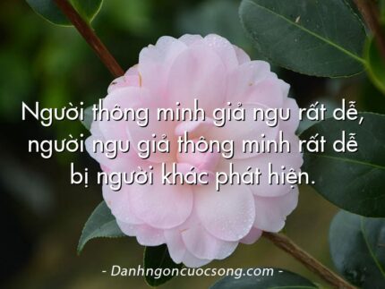 Người thông minh giả ngu rất dễ, người ngu giả thông minh rất dễ bị người khác phát hiện.