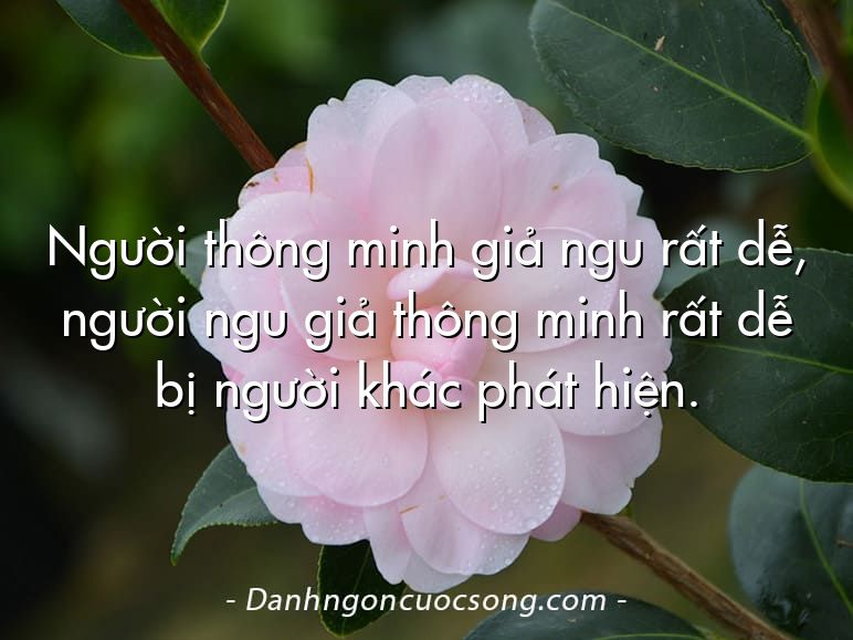 Người thông minh giả ngu rất dễ, người ngu giả thông minh rất dễ bị người khác phát hiện.