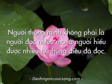 Người thông minh không phải là người đọc nhiều mà là người hiểu được nhiều từ những điều đã đọc.