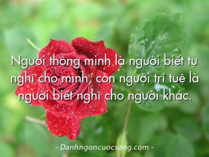 Người thông minh là người biết tự nghĩ cho mình, còn người trí tuệ là người biết nghĩ cho người khác.