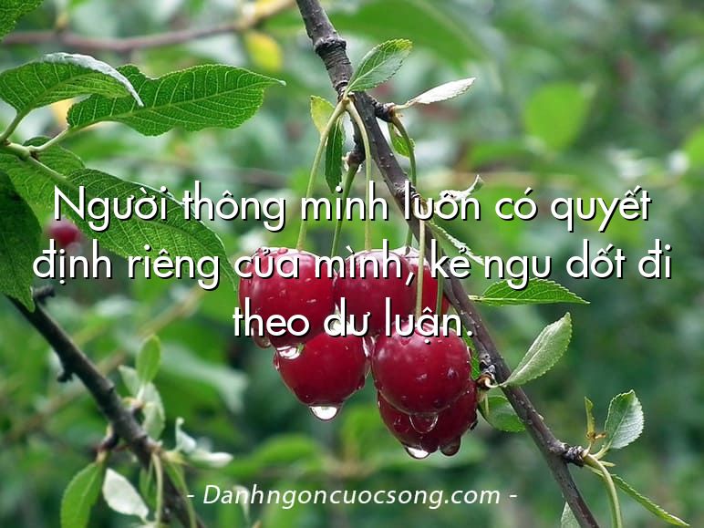 Người thông minh luôn có quyết định riêng của mình, kẻ ngu dốt đi theo dư luận.