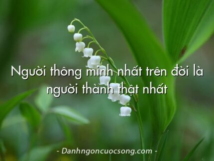Người thông minh nhất trên đời là người thành thật nhất