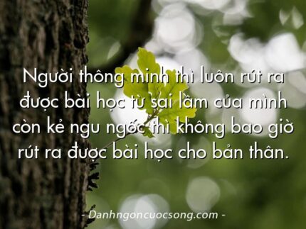 Người thông minh thì luôn rút ra được bài học từ sai lầm của mình còn kẻ ngu ngốc thì không bao giờ rút ra được bài học cho bản thân.