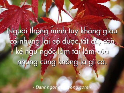 Người thông minh tuy không giàu có nhưng lại có được tất cả, còn kẻ ngu ngốc lắm tài lắm của nhưng cũng không là gì cả.