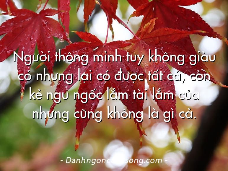 Người thông minh tuy không giàu có nhưng lại có được tất cả, còn kẻ ngu ngốc lắm tài lắm của nhưng cũng không là gì cả.