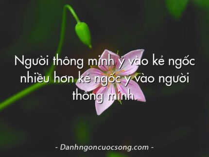 Người thông minh ỷ vào kẻ ngốc nhiều hơn kẻ ngốc ỷ vào người thông minh.