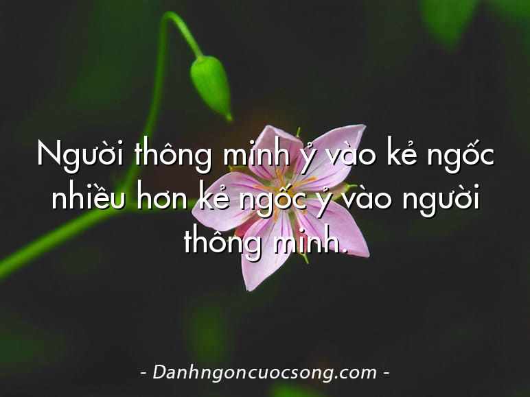 Người thông minh ỷ vào kẻ ngốc nhiều hơn kẻ ngốc ỷ vào người thông minh.
