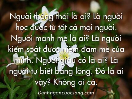 Người thông thái là ai? Là người học được từ tất cả mọi người. Người mạnh mẽ là ai? Là người kiểm soát được niềm đam mê của mình. Người giàu có là ai? Là người tự biết bằng lòng. Đó là ai vậy? Không ai cả.