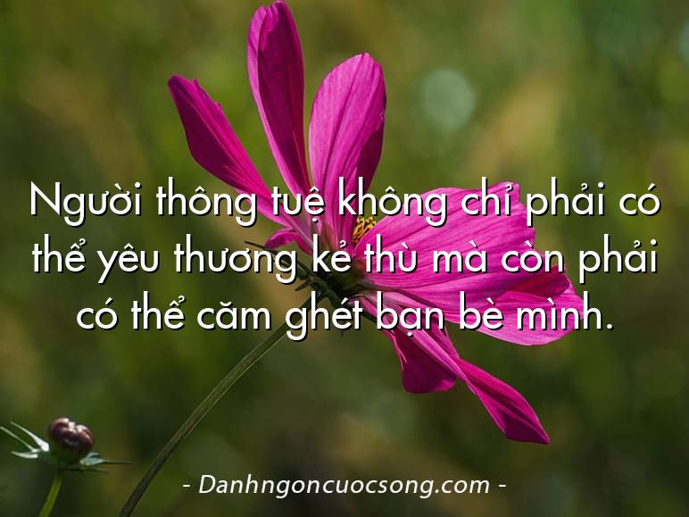 Người thông tuệ không chỉ phải có thể yêu thương kẻ thù mà còn phải có thể căm ghét bạn bè mình.