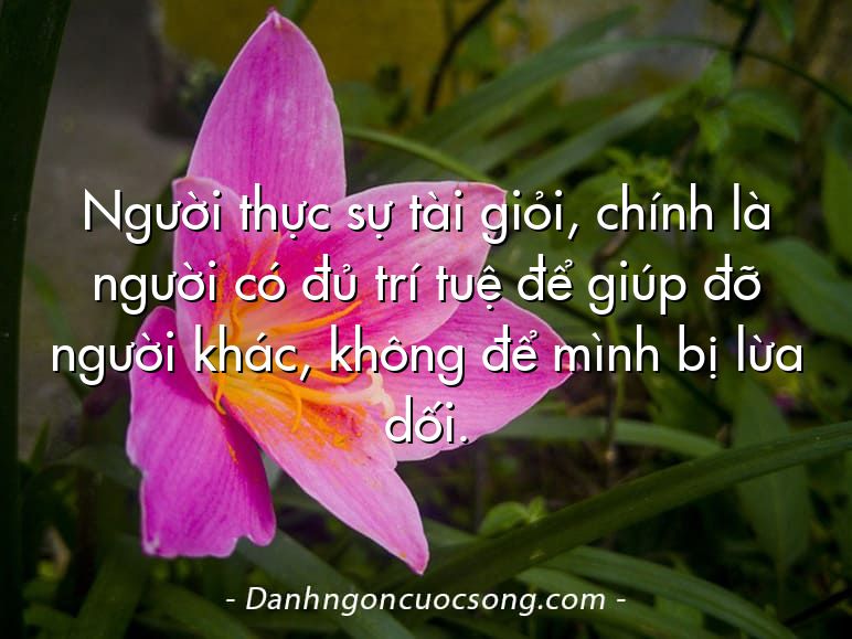 Người thực sự tài giỏi, chính là người có đủ trí tuệ để giúp đỡ người khác, không để mình bị lừa dối.