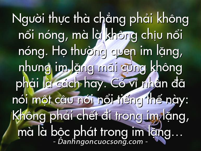 Người thực thà chẳng phải không nổi nóng, mà là không chịu nổi nóng. Họ thường quen im lặng, nhưng im lặng mãi cũng không phải là cách hay. Có vĩ nhân đã nói một câu nói nổi tiếng thế này: Không phải chết đi trong im lặng, mà là bộc phát trong im lặng…