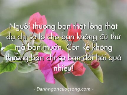 Người thương bạn thật lòng thật dạ chỉ sợ lo cho bạn không đủ thứ mà bạn muốn. Còn kẻ không thương bạn chỉ sợ bạn đòi hỏi quá nhiều!