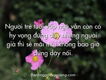 Người trẻ tuổi vấp ngã vẫn còn có hy vọng đứng dậy nhưng người già thì sẽ mãi mãi không bao giờ đứng dậy nổi.
