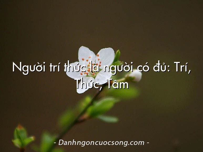 Người trí thức là người có đủ: Trí, Thức, Tâm