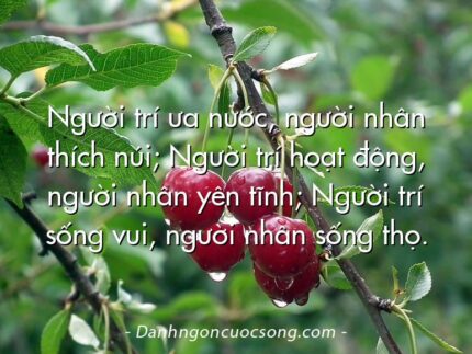 Người trí ưa nước, người nhân thích núi; Người trí hoạt động, người nhân yên tĩnh; Người trí sống vui, người nhân sống thọ.