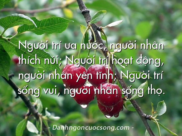Người trí ưa nước, người nhân thích núi; Người trí hoạt động, người nhân yên tĩnh; Người trí sống vui, người nhân sống thọ.