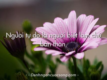 Người tự do là người biết làm chủ bản thân.