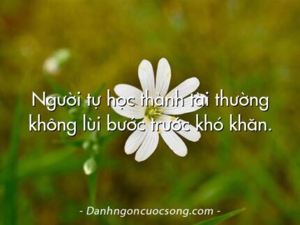 Người tự học thành tài thường không lùi bước trước khó khăn.