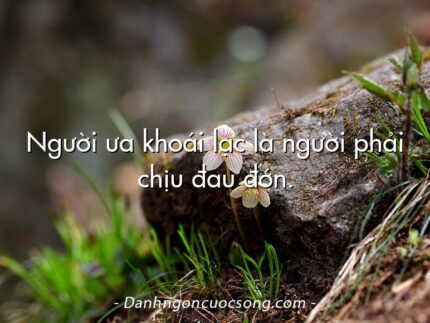 Người ưa khoái lạc là người phải chịu đau đớn.