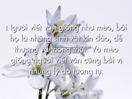 Người viết văn giống như mèo, bởi họ là những sinh vật kín đáo, dễ thương và thông thái. Và mèo giống người viết văn cũng bởi vì những lý do tương tự.