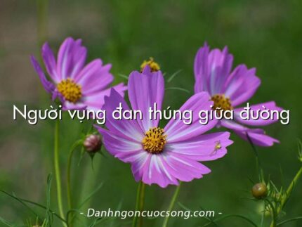 Người vụng đan thúng giữa đường