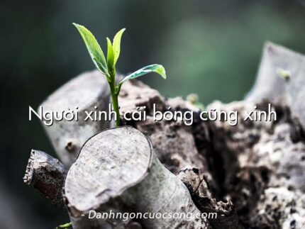 Người xinh cái bóng cũng xinh