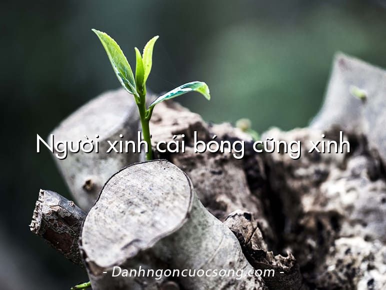 Người xinh cái bóng cũng xinh
