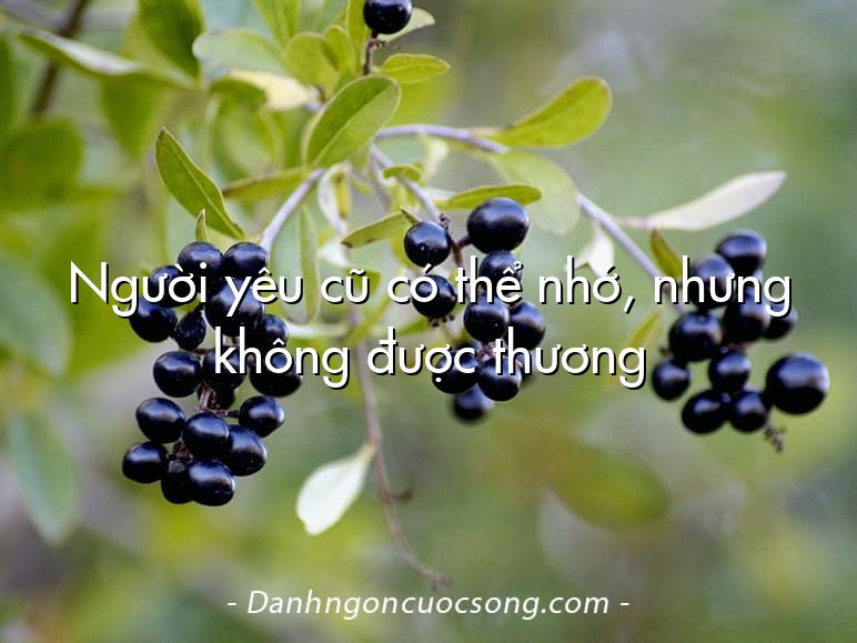 Người yêu cũ có thể nhớ, nhưng không được thương