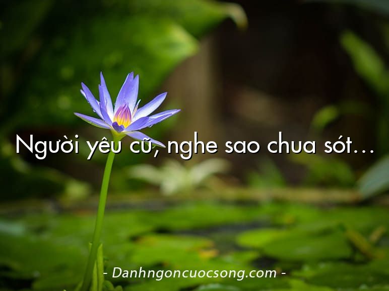 Người yêu cũ, nghe sao chua sót…