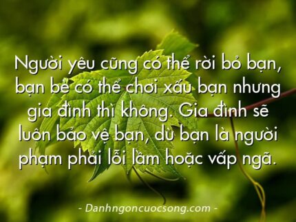 Người yêu cũng có thể rời bỏ bạn, bạn bè có thể chơi xấu bạn nhưng gia đình thì không. Gia đình sẽ luôn bảo vệ bạn, dù bạn là người phạm phải lỗi lầm hoặc vấp ngã.