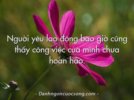 Người yêu lao động bao giờ cũng thấy công việc của mình chưa hoàn hảo.