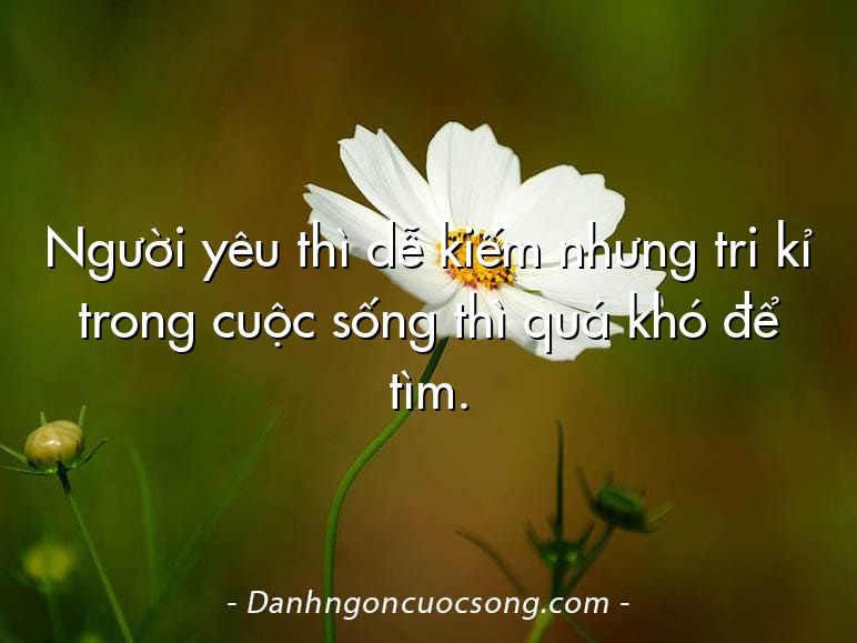 Người yêu thì dễ kiếm nhưng tri kỉ trong cuộc sống thì quá khó để tìm.