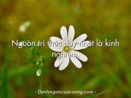 Nguồn tri thức duy nhất là kinh nghiệm.