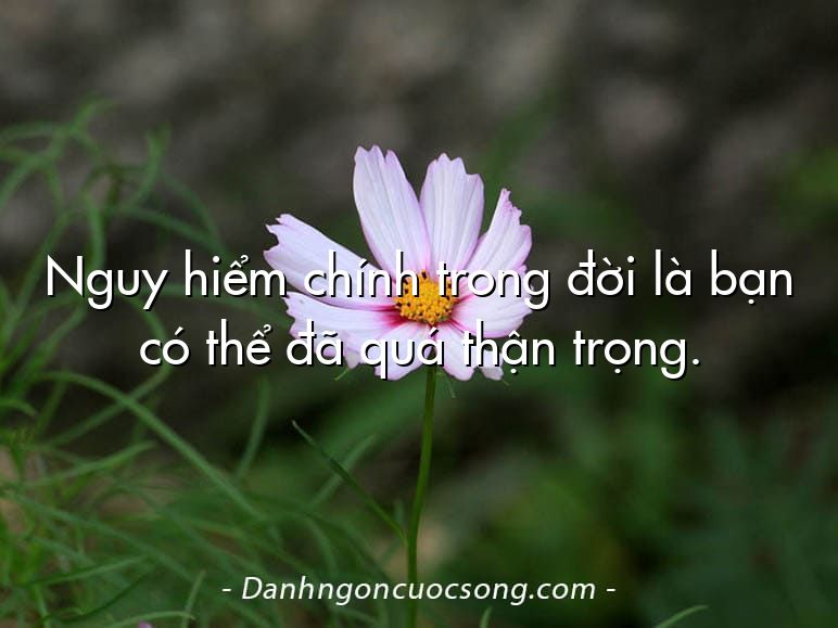 Nguy hiểm chính trong đời là bạn có thể đã quá thận trọng.