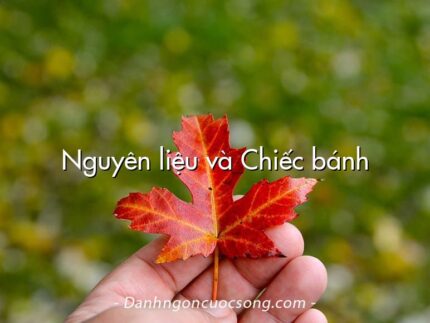 Nguyên liệu và Chiếc bánh