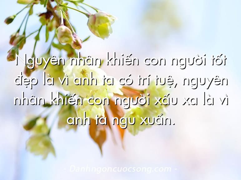 Nguyên nhân khiến con người tốt đẹp là vì anh ta có trí tuệ, nguyên nhân khiến con người xấu xa là vì anh ta ngu xuẩn.